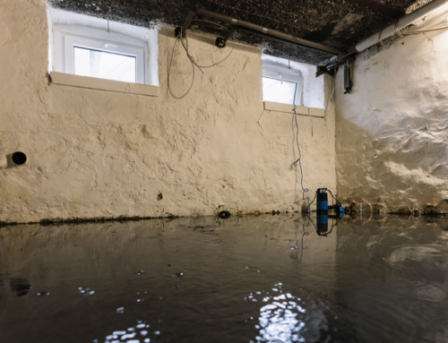 The Impact of Michigan’s Heavy Rainfall on Basement Flooding: Water Restoration Tips for Homeowners