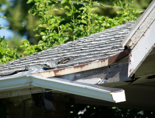Dewinterizing 101: How to Get Your Home Ready for a Safe and Damage-Free Spring