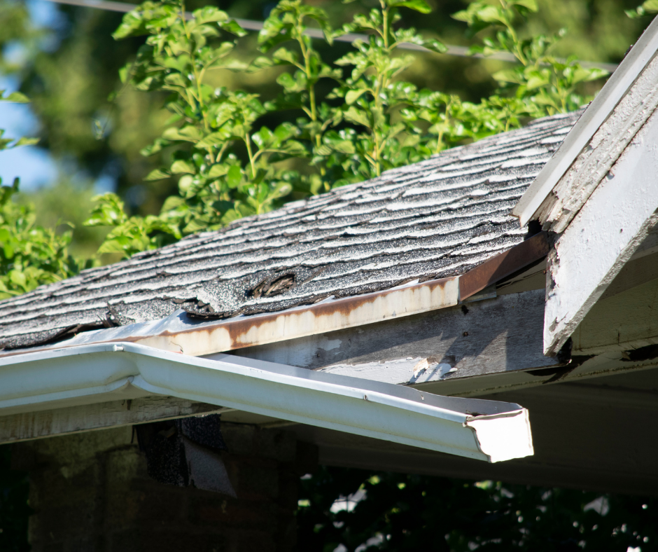 Dewinterizing 101: How to Get Your Home Ready for a Safe and Damage-Free Spring