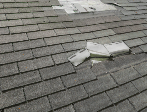 Don’t Let Spring Showers Soak Your Home: Preventing Water Damage Before It Starts