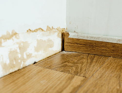 How to Spot Hidden Water Damage Before It Gets Worse