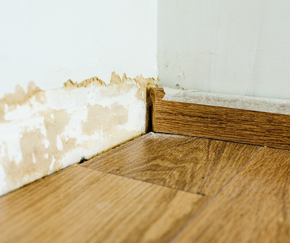 How to Spot Hidden Water Damage Before It Gets Worse