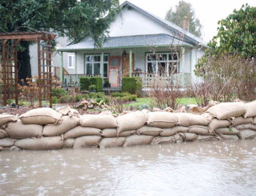 Spring Flooding in Michigan: What Homeowners Need to Know