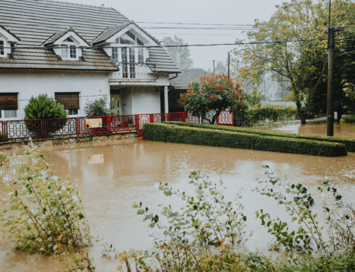 The First 24 Hours After Water Damage: What to Do (and What NOT to Do)
