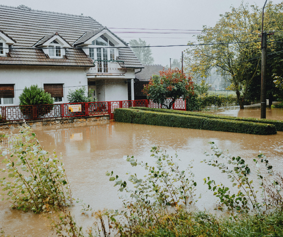 The First 24 Hours After Water Damage: What to Do (and What NOT to Do)