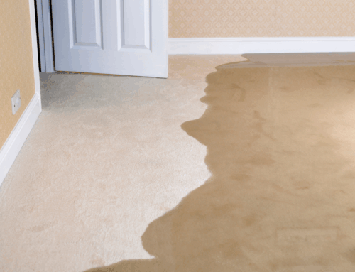 How to Prevent Mold After Flooding or Leaks